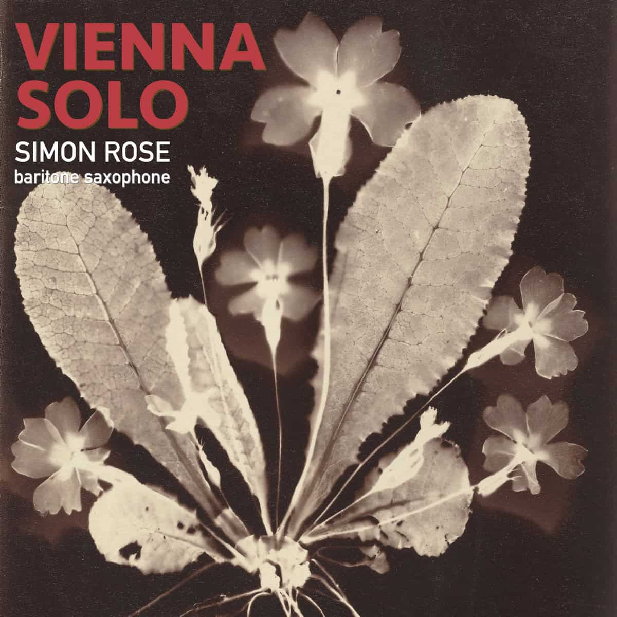 Simon Rose Vienna Solo