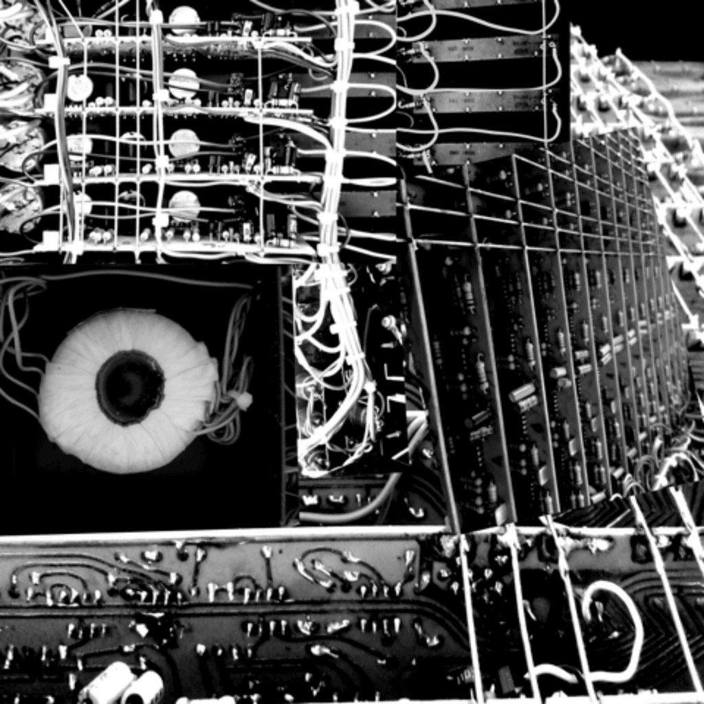 Close-up of server hardware and networking cables in a data center, highlighting the complexity of modern server infrastructure.